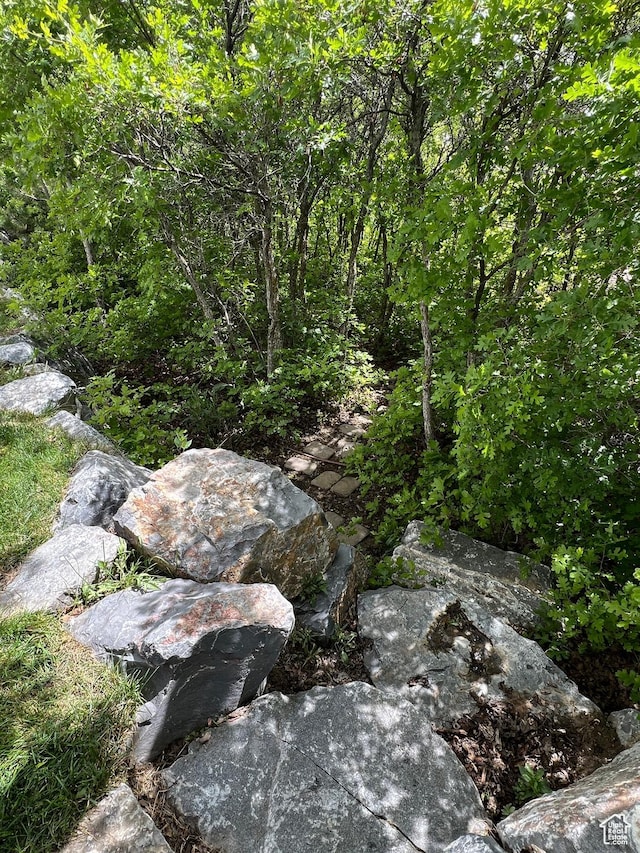 12137 N Montrose Dr, Highland, UT 84003 - view of undeveloped land