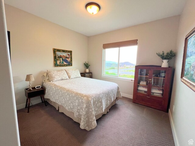 12137 N Montrose Dr, Highland, UT 84003 - bedroom featuring multiple windows, baseboards, and carpet