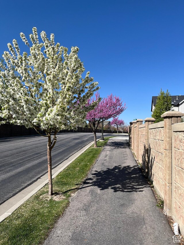 12137 N Montrose Dr, Highland, UT 84003 - view of asphalt road
