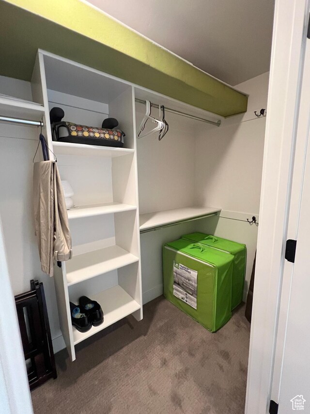 12137 N Montrose Dr, Highland, UT 84003 - spacious closet featuring carpet