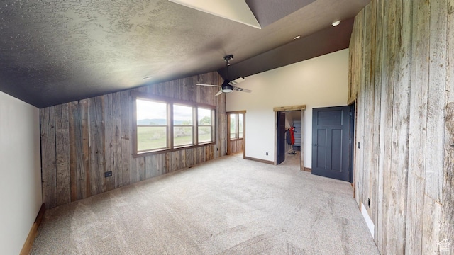 1164 S 1600 E, Preston, ID 83263 - unfurnished bedroom featuring vaulted ceiling, wood walls, carpet, a spacious closet, and baseboards