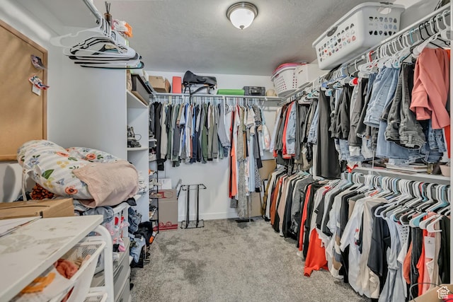2466 S 2200 W, West Haven, UT 84401 - spacious closet with carpet
