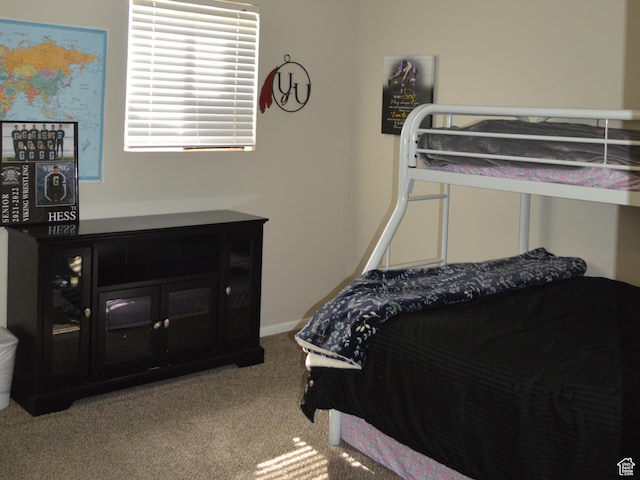 445 Valley View Dr, Pleasant Grove, UT 84062 - view of carpeted bedroom