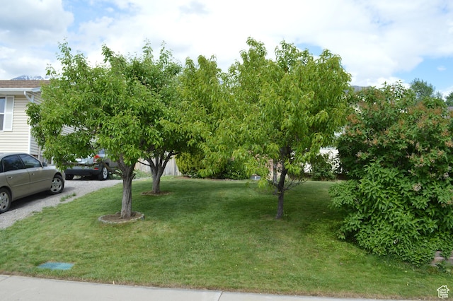 445 Valley View Dr, Pleasant Grove, UT 84062 - view of green lawn