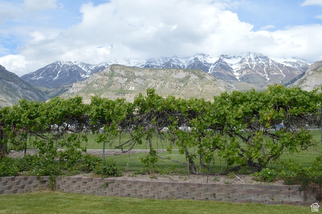 445 Valley View Dr, Pleasant Grove, UT 84062 - mountain view
