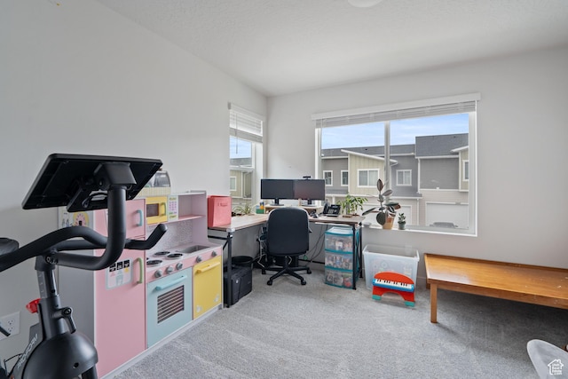 2092 N Red Yearling Dr, Saratoga Springs, UT 84045 - view of carpeted home office