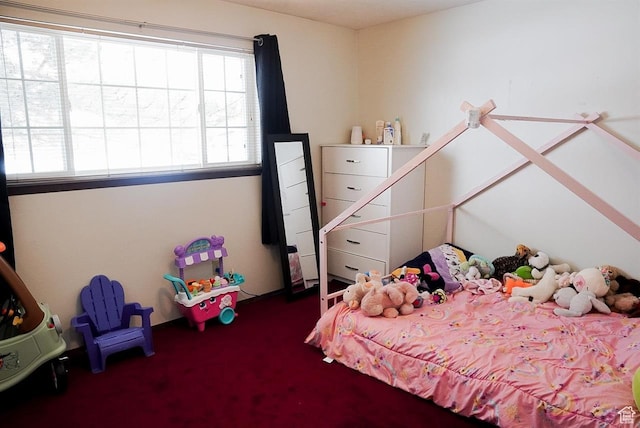260 W 4th S, Soda Springs, ID 83276 - bedroom with carpet floors