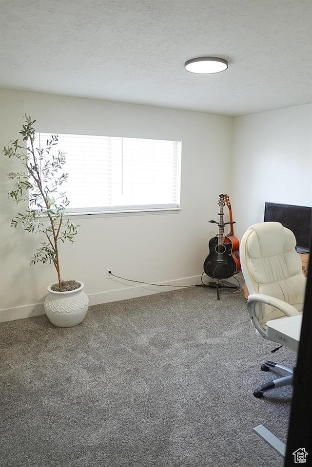 431 E Hooper Ave, Soda Springs, ID 83276 - carpeted home office with baseboards