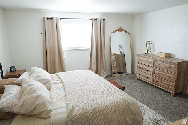 431 E Hooper Ave, Soda Springs, ID 83276 - view of carpeted bedroom