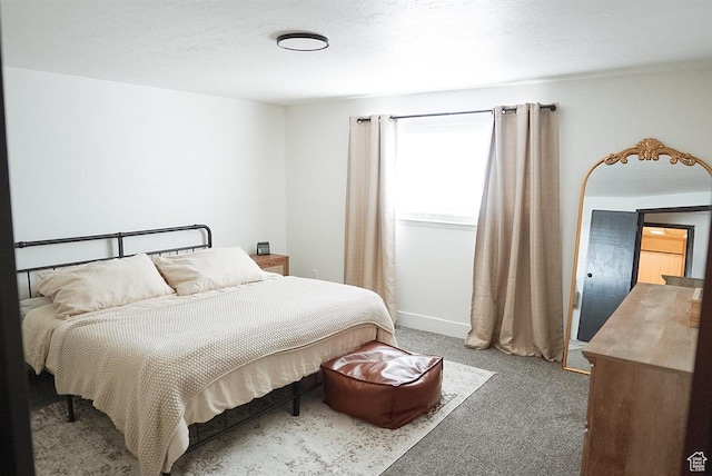 431 E Hooper Ave, Soda Springs, ID 83276 - view of carpeted bedroom