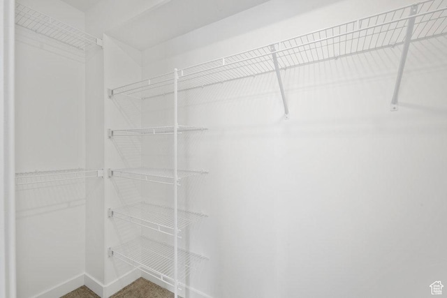 937 W Coalburn Way Unit 102, Murray, UT 84123 - view of spacious closet