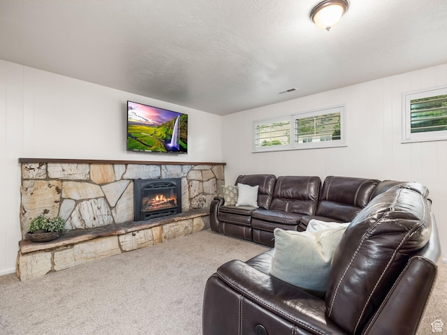 686 Idaho Ave, Provo, UT 84606 - living area featuring carpet floors and a fireplace