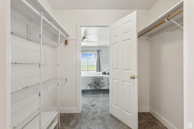 595 S Main St Unit 26, Kamas, UT 84036 - walk in closet with carpet and ceiling fan