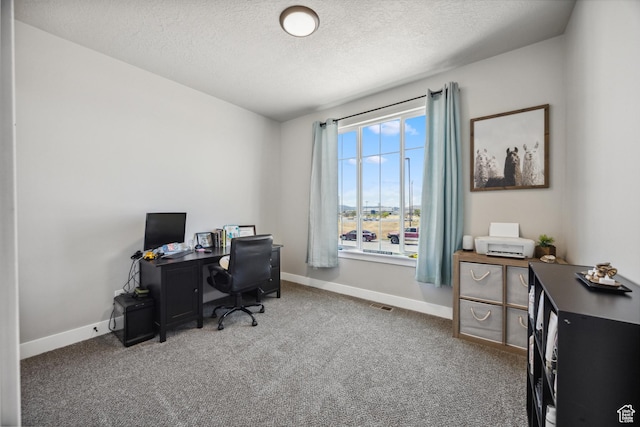 1228 N 100 E, Nephi, UT 84648 - office with carpet, baseboards, and a textured ceiling