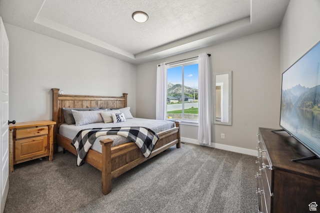 1228 N 100 E, Nephi, UT 84648 - carpeted bedroom with a raised ceiling, a textured ceiling, and baseboards