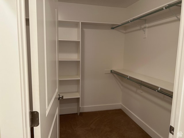 1224 S Grace Way, Layton, UT 84041 - spacious closet with carpet flooring