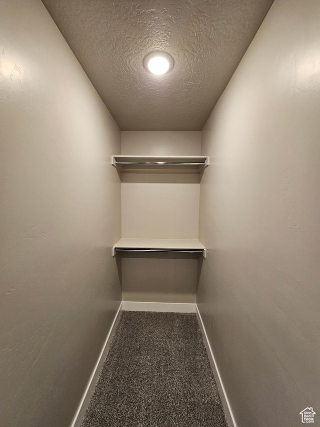 454 N 500 E Lot 3, Salem, UT 84653 - spacious closet with carpet flooring