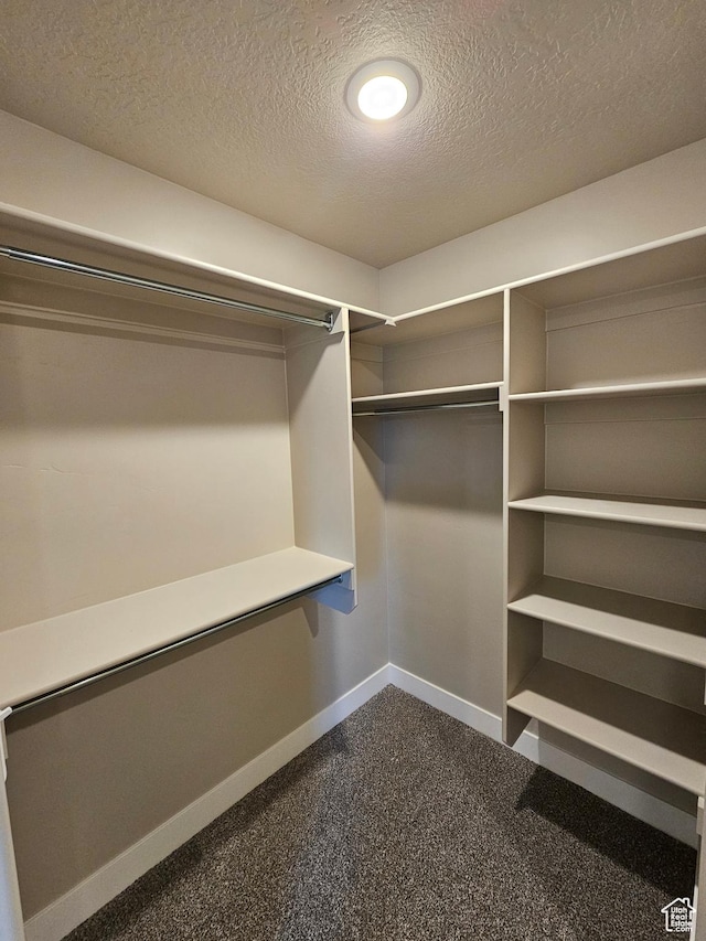 454 N 500 E Lot 3, Salem, UT 84653 - walk in closet with dark carpet