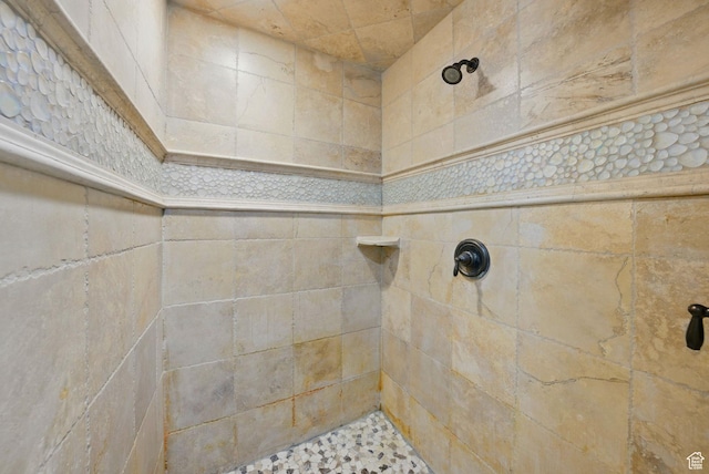 62 W 225 N, Lindon, UT 84042 - full bath featuring a tile shower