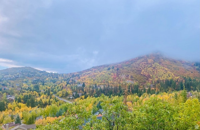 7340 Buckboard Dr N, Park City, UT 84098 - mountain view with a forest