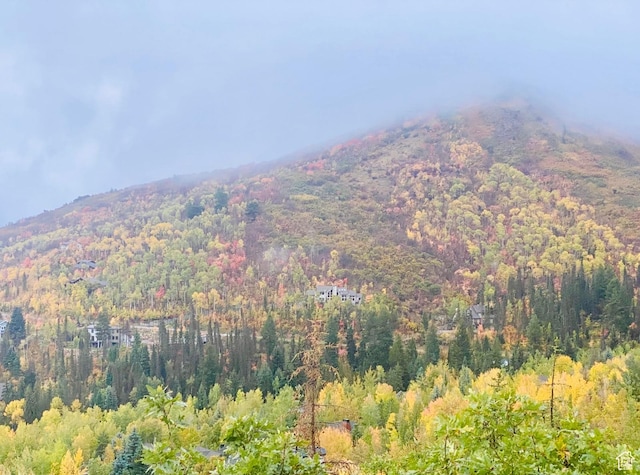 7340 Buckboard Dr N, Park City, UT 84098 - view of mountain background with a heavily wooded area
