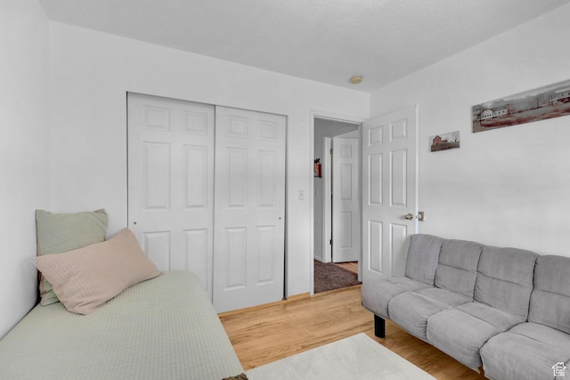 3966 W 2200 N, Plain City, UT 84404 - bedroom with light wood-type flooring and a closet