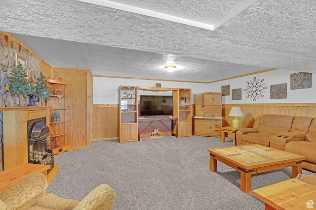 3966 W 2200 N, Plain City, UT 84404 - living room featuring wooden walls, a textured ceiling, wainscoting, carpet, and a wood stove