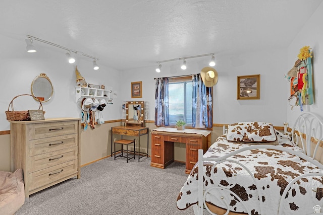 3966 W 2200 N, Plain City, UT 84404 - bedroom featuring track lighting and light carpet