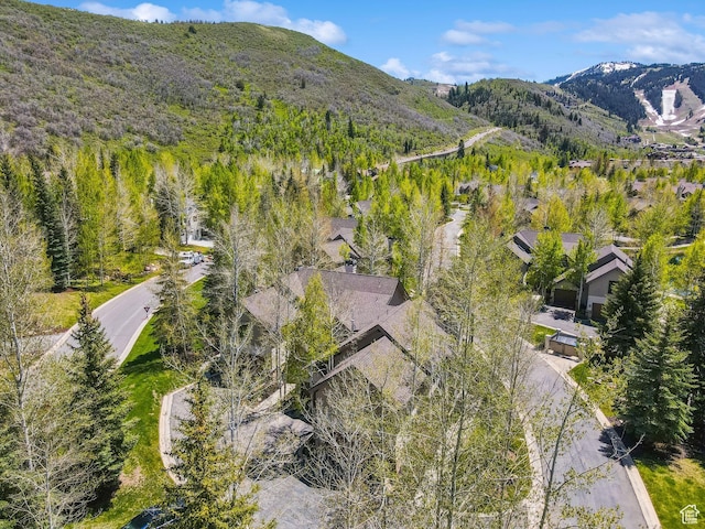2464 Deer Lake Dr, Park City, UT 84060 - drone / aerial view of a mountainous background