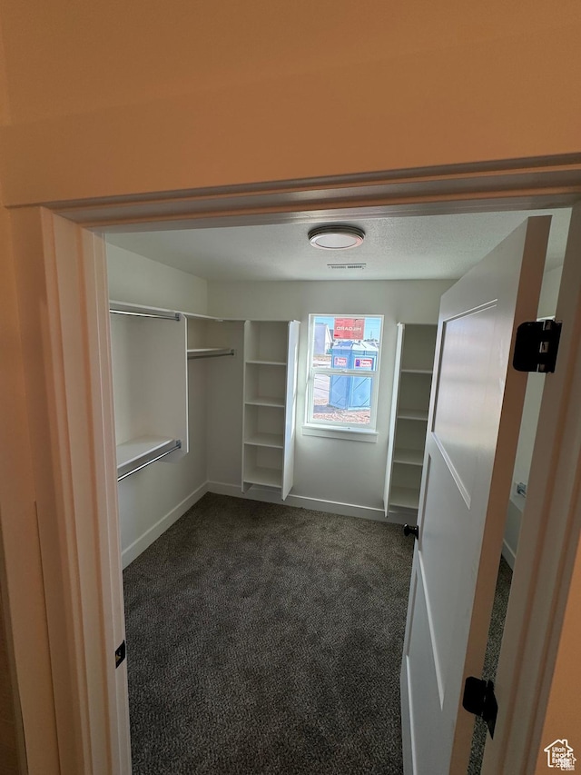 160 S 50 W, Clearfield, UT 84015 - spacious closet with dark carpet