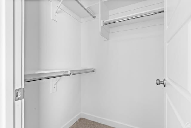 9806 N Willowbank Dr, Highland, UT 84003 - spacious closet with carpet