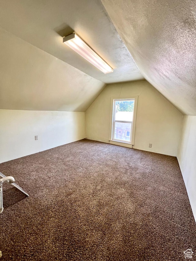 509 E 300 N, Richfield, UT 84701 - bonus room with vaulted ceiling, carpet floors, and a textured ceiling