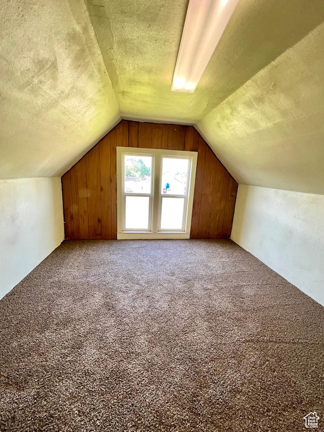 509 E 300 N, Richfield, UT 84701 - additional living space with a textured ceiling, lofted ceiling, carpet flooring, and wooden walls