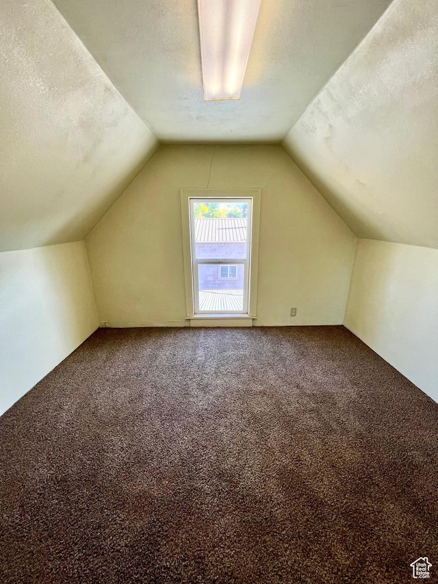 509 E 300 N, Richfield, UT 84701 - additional living space featuring vaulted ceiling, carpet floors, and a textured ceiling