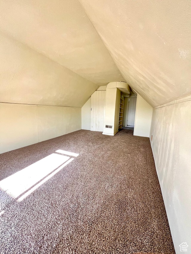 509 E 300 N, Richfield, UT 84701 - additional living space with lofted ceiling, carpet flooring, and a textured ceiling