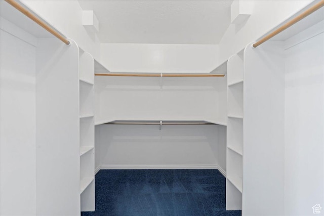 2718 W Southpointe Rd, South Jordan, UT 84095 - walk in closet with carpet floors