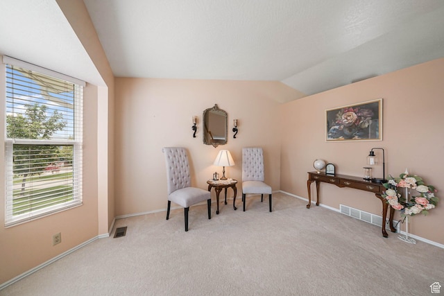 1213 E Earl Way S, Sandy, UT 84094 - living area with vaulted ceiling, light colored carpet, and baseboards