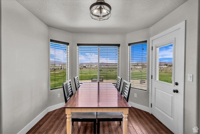 1038 S 4575 W, Cedar City, UT 84720 - dining area featuring baseboards, dark wood-style flooring, a textured ceiling, and a chandelier
