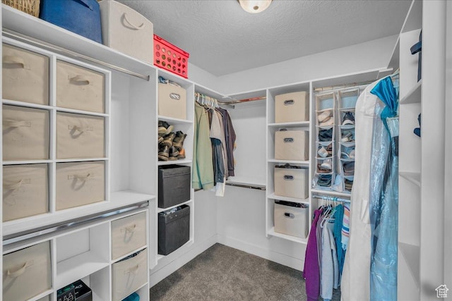 1038 S 4575 W, Cedar City, UT 84720 - spacious closet with dark carpet