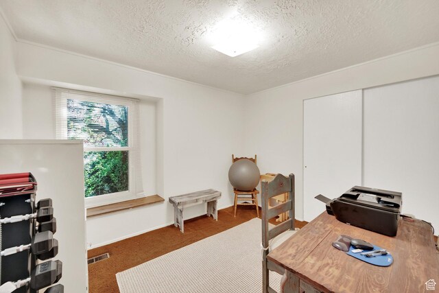 2848 N 2200 W, Salt Lake City, UT 84116 - office area featuring carpet and a textured ceiling