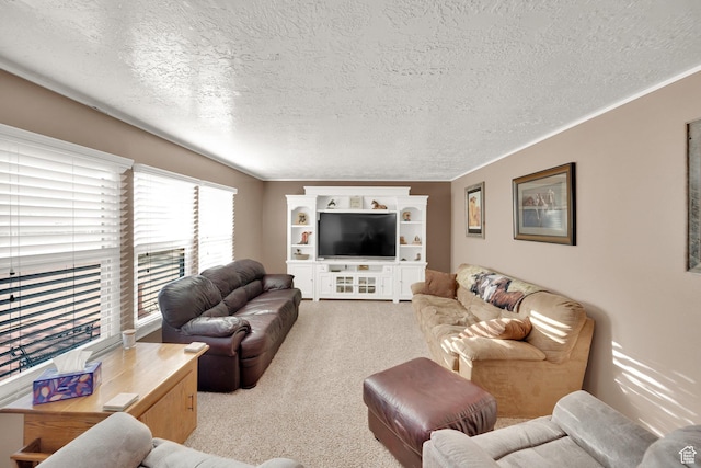 2848 N 2200 W, Salt Lake City, UT 84116 - living area with carpet and a textured ceiling
