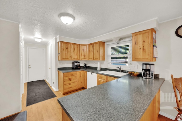 2848 N 2200 W, Salt Lake City, UT 84116 - kitchen with a sink, white dishwasher, light wood-type flooring, a peninsula, and dark countertops