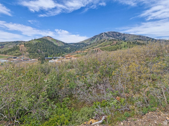 1905 W Horn Ct Unit 20, Park City, UT 84060