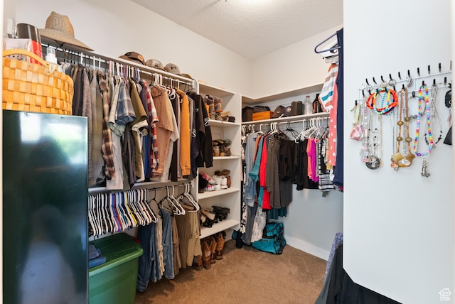 2391 S 330 E, Heber City, UT 84032 - spacious closet with carpet