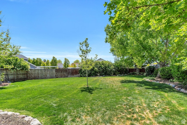5144 W Wheatcrest Cir, West Jordan, UT 84081 - view of yard