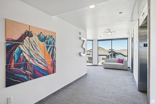 2670 Canyons Resort Dr Unit 319, Park City, UT 84098 - hallway featuring carpet flooring, floor to ceiling windows, baseboards, and elevator