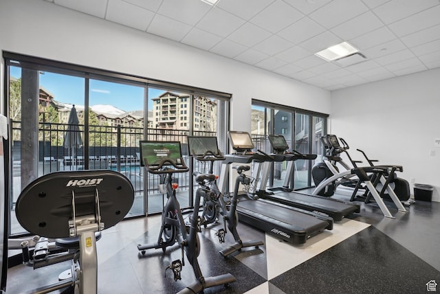 2670 Canyons Resort Dr Unit 319, Park City, UT 84098 - exercise room featuring plenty of natural light and a paneled ceiling