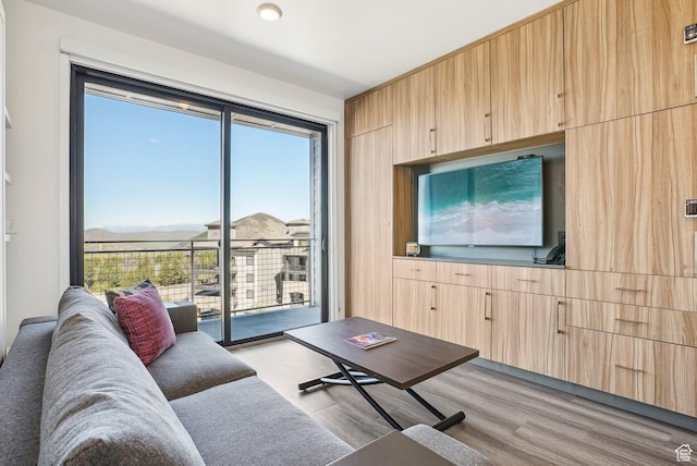 2670 Canyons Resort Dr Unit 319, Park City, UT 84098 - living room with plenty of natural light and light wood-type flooring