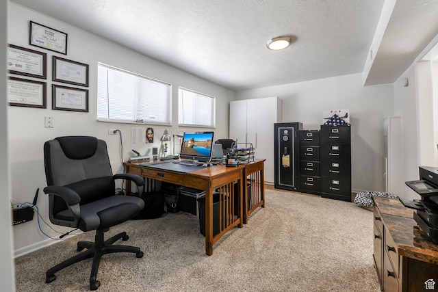180 W Vine St, Tooele, UT 84074 - home office featuring light carpet, a textured ceiling, and baseboards