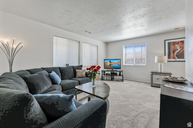 180 W Vine St, Tooele, UT 84074 - living area with carpet flooring, a textured ceiling, and baseboards